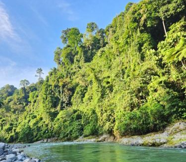 Bukit Lawang Hotel | Jungle Inn Bukit lawang