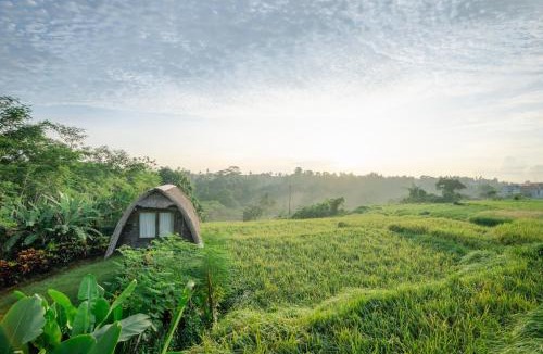 Batuan Cabin | The Tetamian Bali