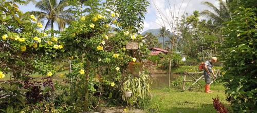 Tomohon House | Talaga Tomohon Home Stay and Fishing Pond