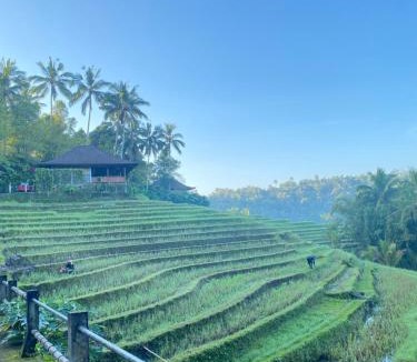 East Selemadeg Resort | Clove Tree Hill