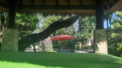 Lovina Hotel | Rambutan Hotel