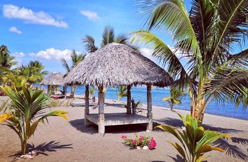 Maumere Resort | Coconut Garden Beach Resort