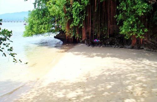 Bunaken Resort | Bunaken Divers Sea Breeze Resort