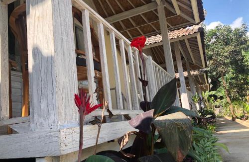 Mushroom Bay Resort | The Lucky Cottage