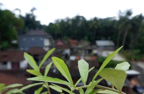 Sambahan House | Ramaya Ubud View