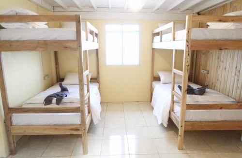 Bira Hostel | Phinisi Hostel Bira