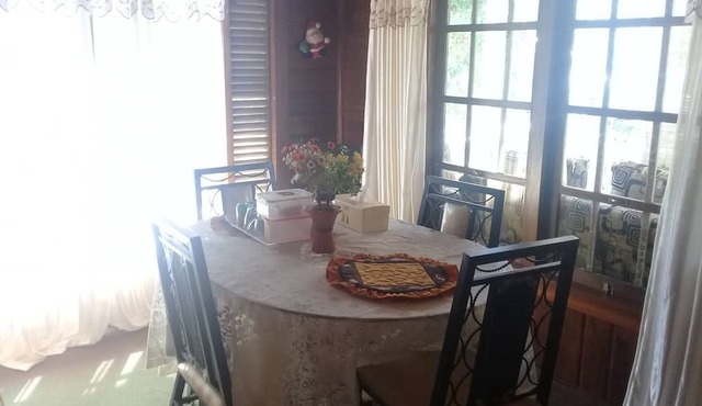 Bunga Matahari