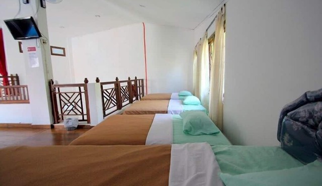 Palma Bed & Breakfast - Hostel