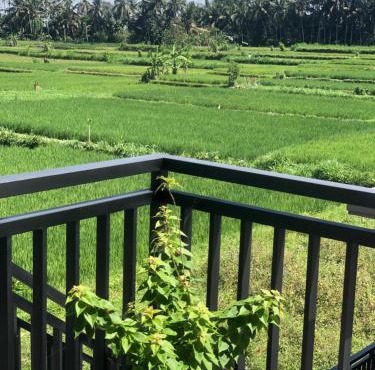 Sri Laba Villa in Ubud