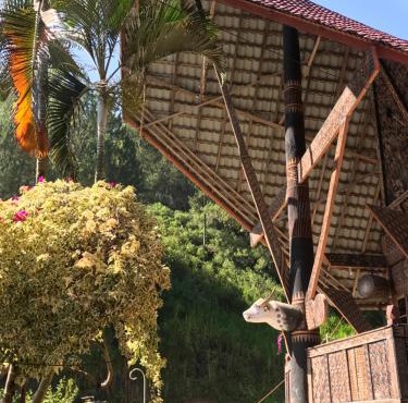 Marampan Homestay Mamasa