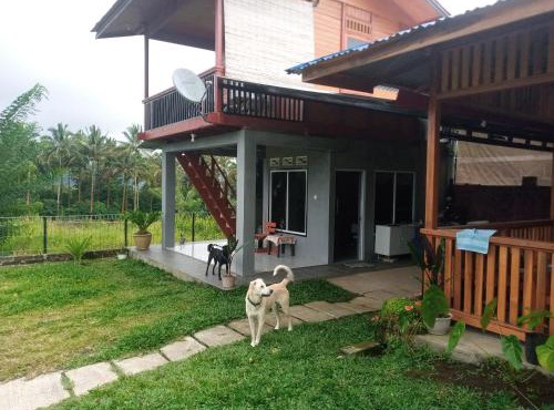Homestay Alina
