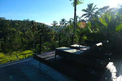 The Ruler Bali