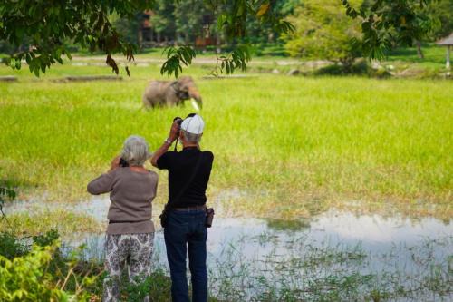 Satwa Elephant Ecolodge in Labuhanratu
