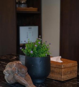 Ruya Villa Ubud in Ubud