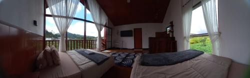 Cabin Wetan Kali Dieng in Dieng