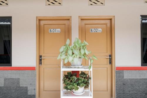 RedDoorz Syariah near Hajimena Lampung in Lampung