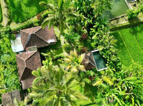 Dewa Jati Cottages in Gianyar