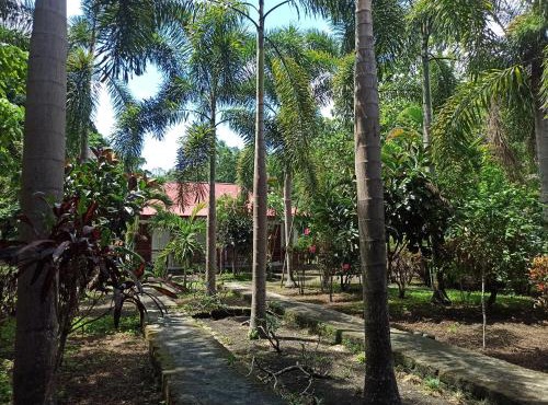 Tangkoko Jungle Homestay in Rinondoran