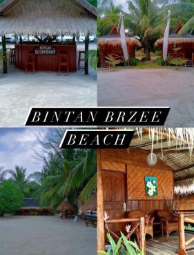 Bintan Brzee Beach in Bintan Island - Bungalow 5 in Berakit