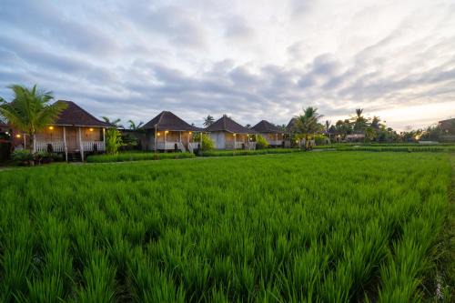Uma Sebatu Villa Ubud in Tegalalang