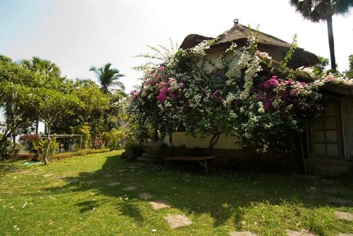 Gaia-Oasis Mountain Abasan