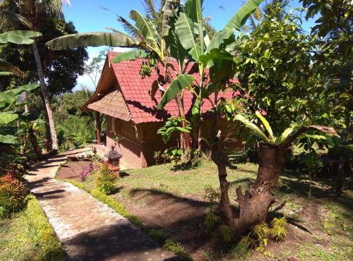Bali mountain forest cabin in Penebel